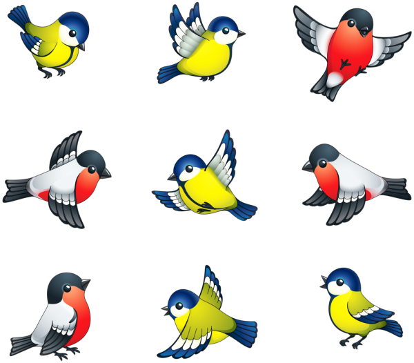 Зимующие птицы в разных позах