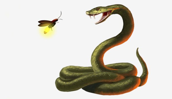 Змея на белом фоне