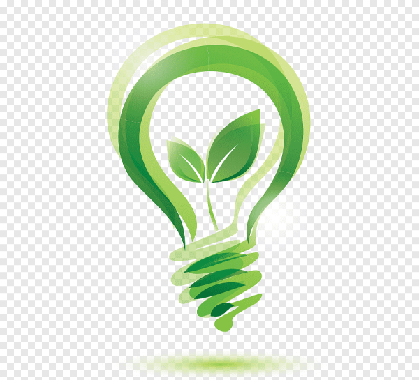 Росток в лампочке