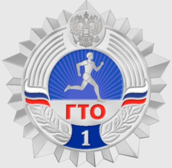 Серебряный значок ГТО 1 ступень