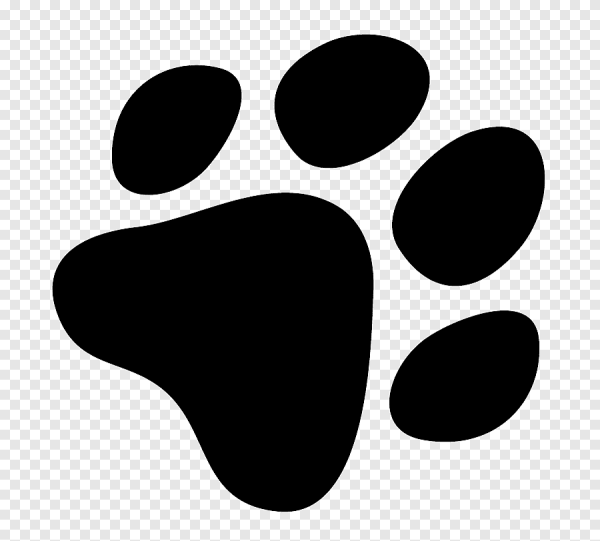 Собачья лапка