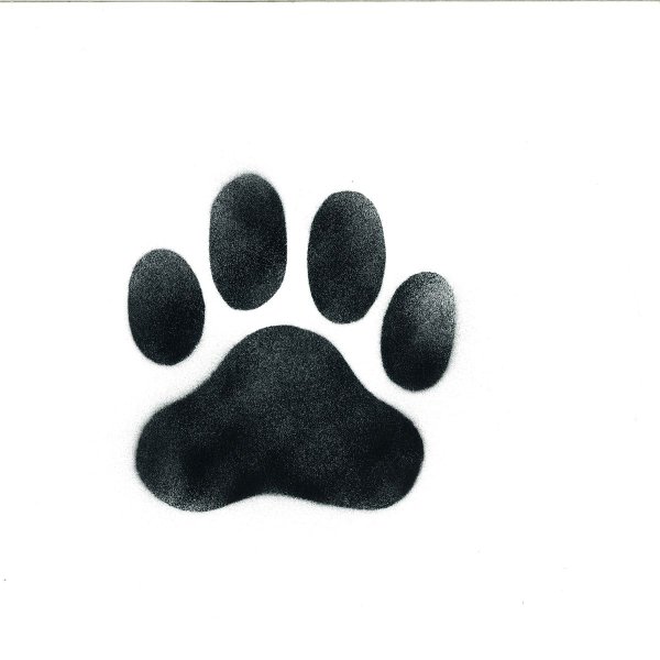 Значок лапки