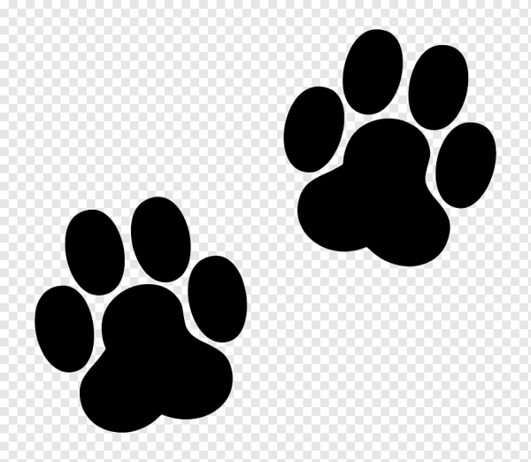 Отпечаток собачьей лапы