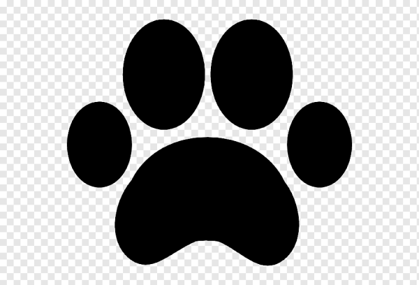 Крысиные лапы рисунок