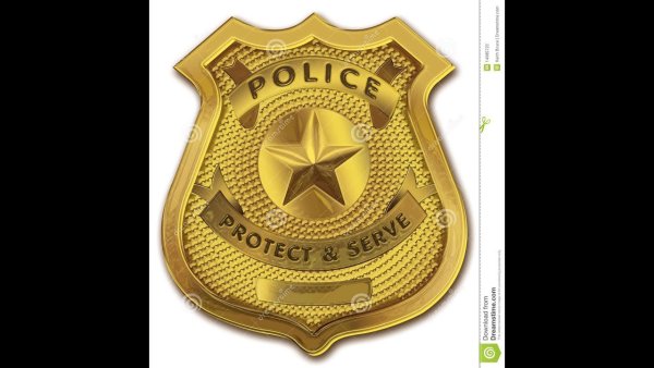 Полицейский жетон вектор