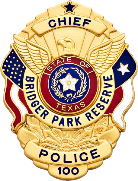 Полицейский значок России