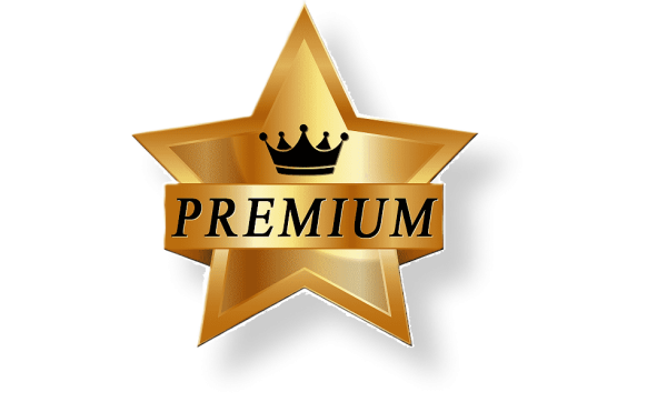 Premium логотип