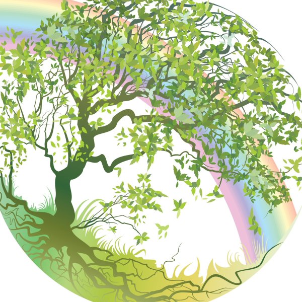 Круг в природе