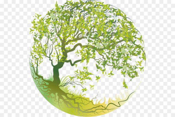 Экологическое дерево на прозрачном фоне