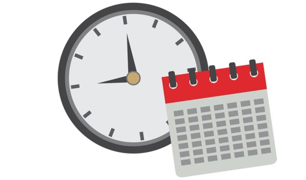 Сроки вектор