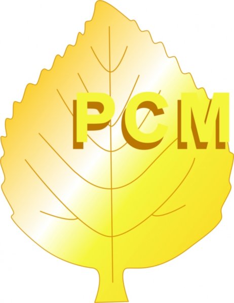 Листик РСМ