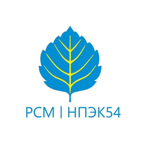 НПЭК логотип