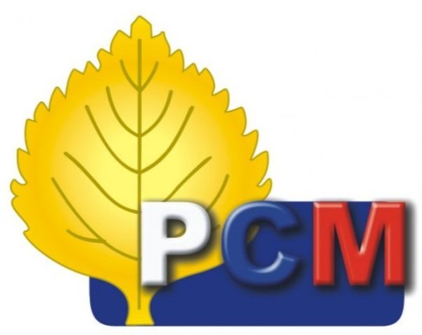 Российский Союз молодежи логотип