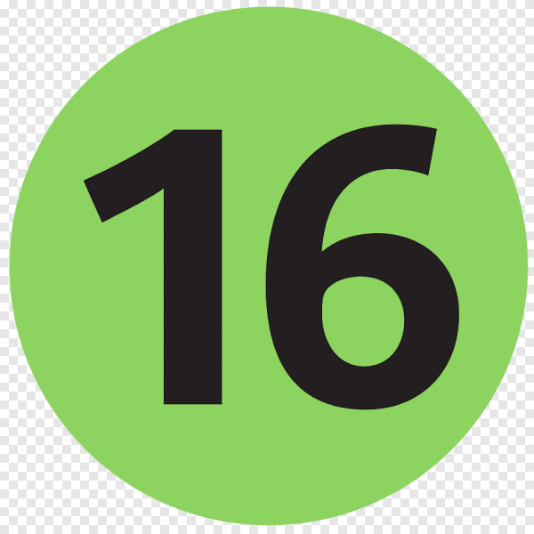 Цифра 16