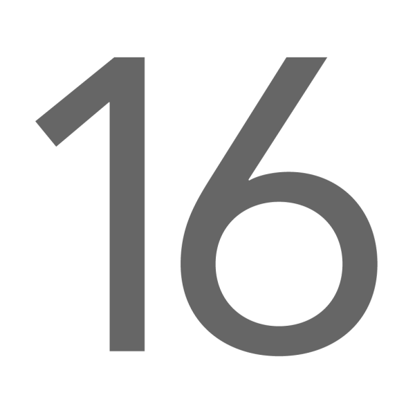 16+ Логотип