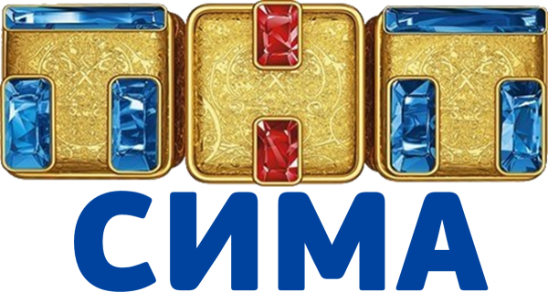 ТНТ Саратов логотип