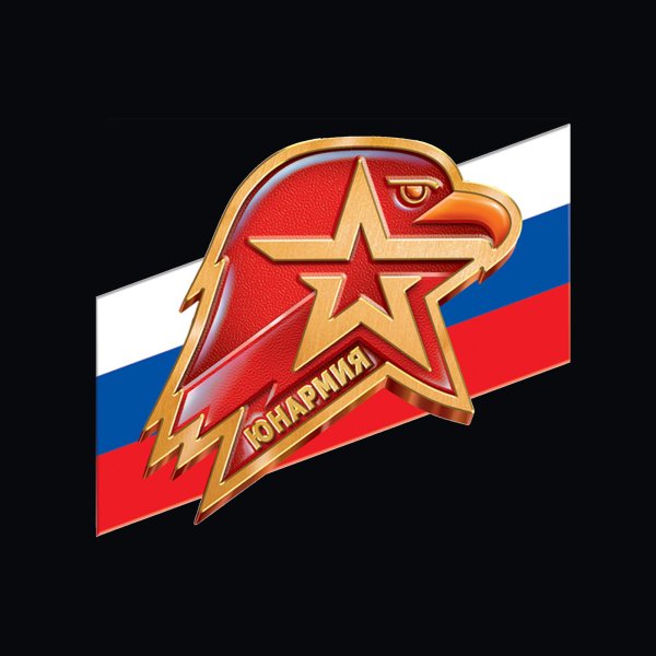 Юнармия символ