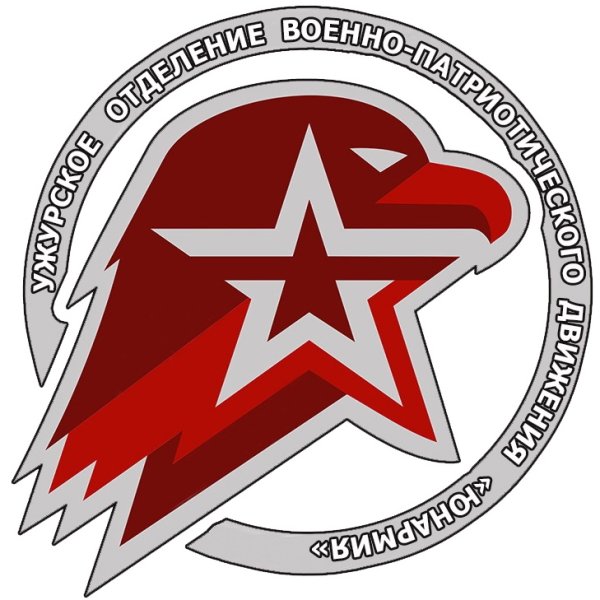 Круглый значок юнармиио