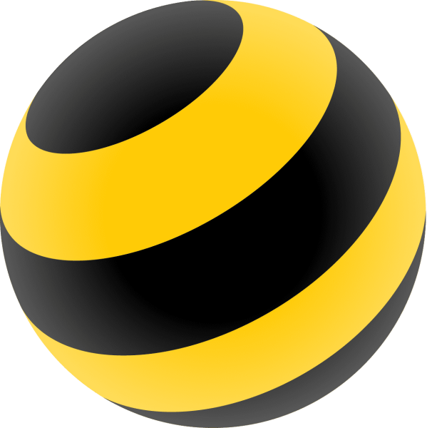 Крикотин Дмитрий Билайн