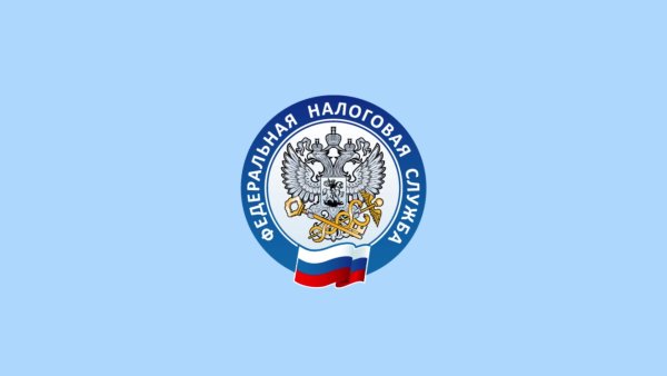 Брендбук ИФНС России 2016