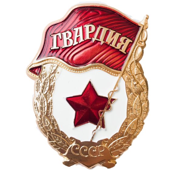 Нагрудный знак СГВ