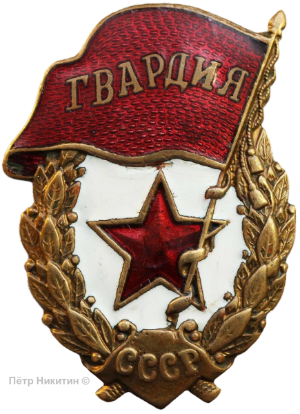Значок гвардия Россия