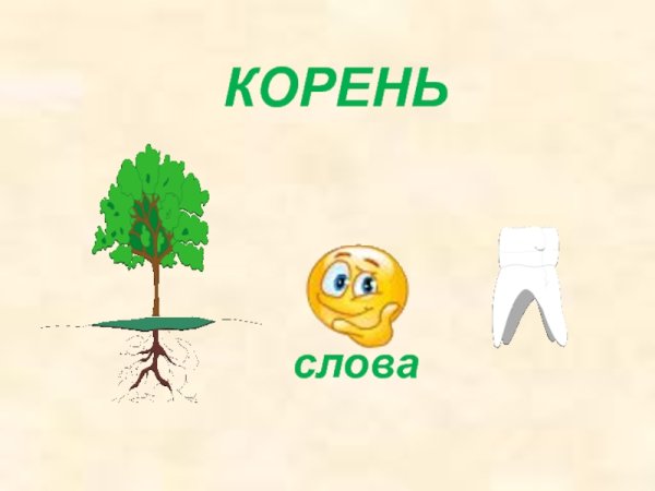 Корень слова картинка