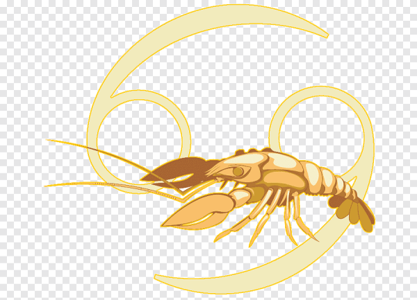 Знак задиакарак на прозрачном фоне