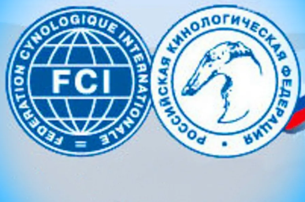 Эмблема РКФ на прозрачном фоне