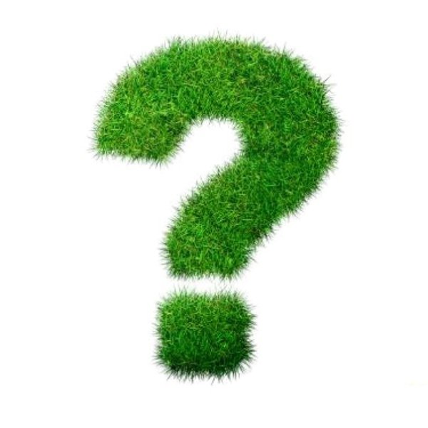 Вопросительный знак из трав