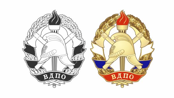 ВДПО логотип