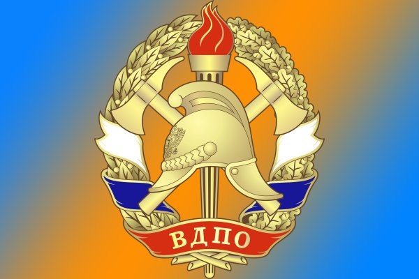 Эмблема ВДПО Ростовская область