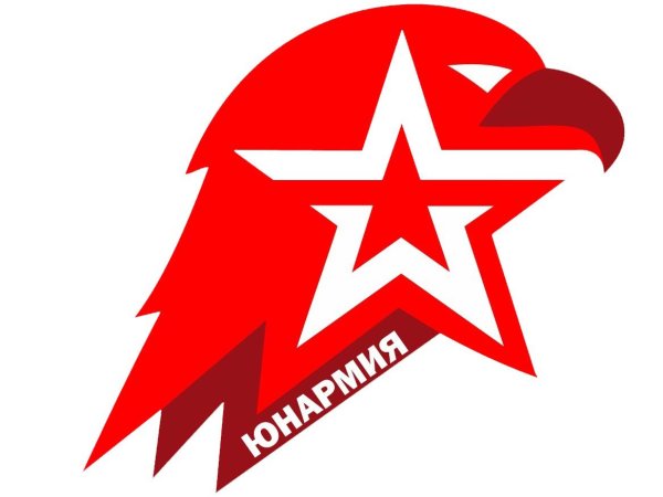 Юнармия эмблема
