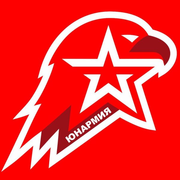 Флаг Юнармия