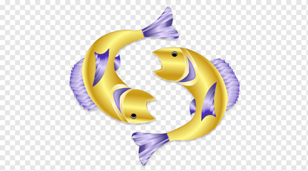 Рыбы для метрики