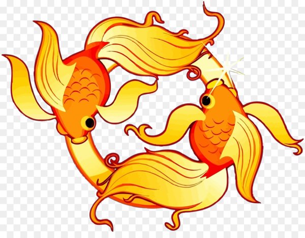 Золотая рыбка из мультика