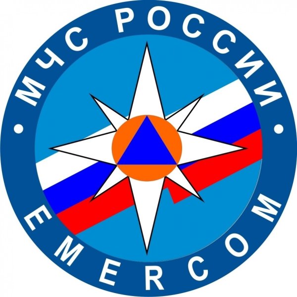 МЧС России EMERCOM эмблема