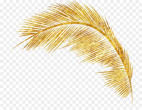 Золотая пальмовая ветка