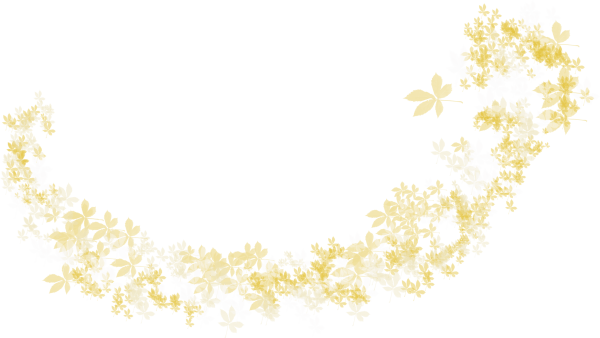 Россыпь листьев на прозрачном фоне