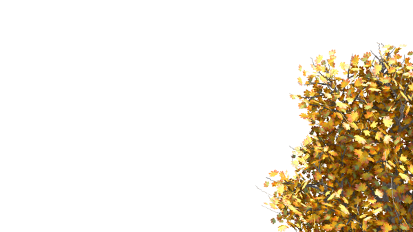 Осенние кусты на прозрачном фоне