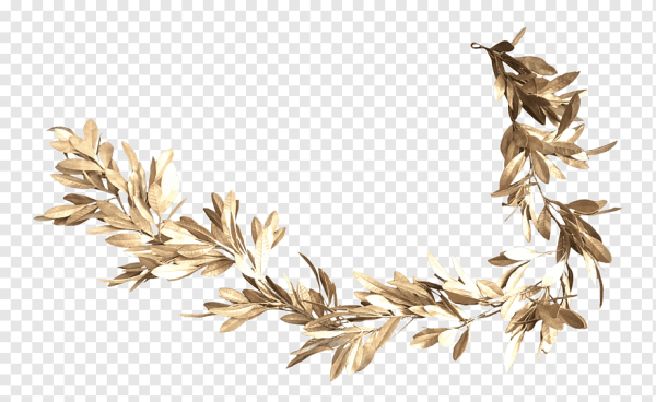 Золотая ветка на прозрачном фоне