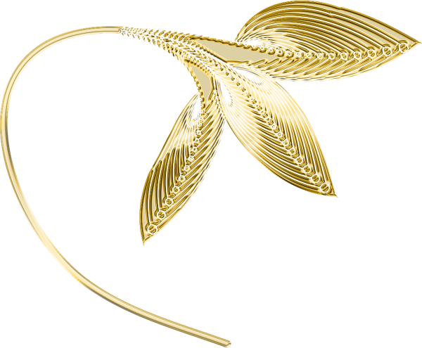 Золотые лепестки