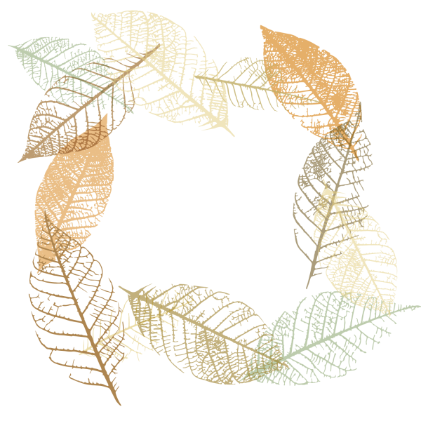 Прозрачный листик