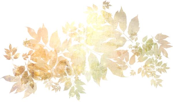 Осенние золотые листья на прозрачном фоне