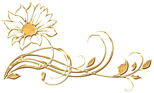 Виньетки на прозрачном фоне