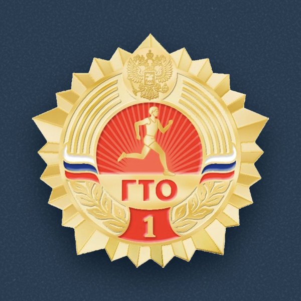Бронзовый значок ГТО 2017