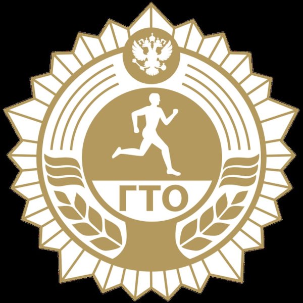 Значки спорт ГТО