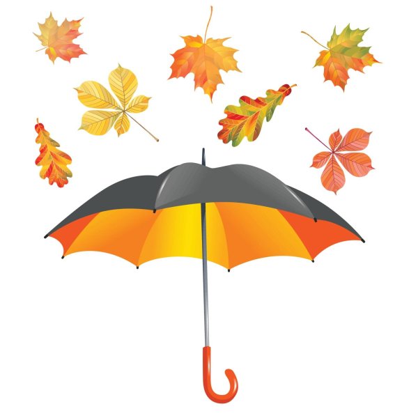 Осенний зонтик на белом фоне