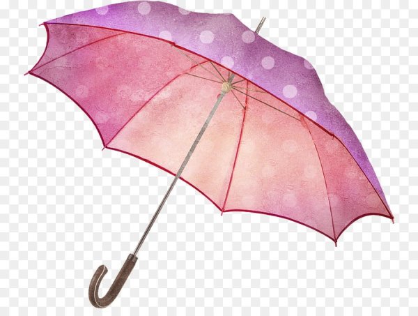 Зонт рисунок