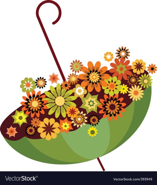 Букеты в зонтике иллюстрации